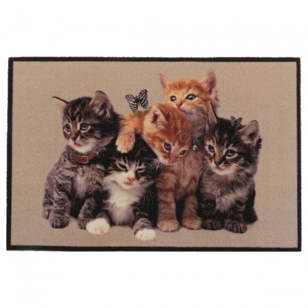 Tapis d'entrée chatons - L60 x l40 cm